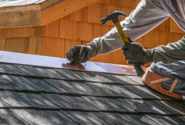 Best Skylight Installation and Repair  in Webster, FL
