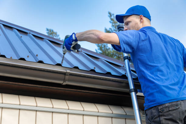Webster, FL Roofing services Company