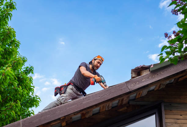 Best Rubber Roofing (EPDM, TPO)  in Webster, FL