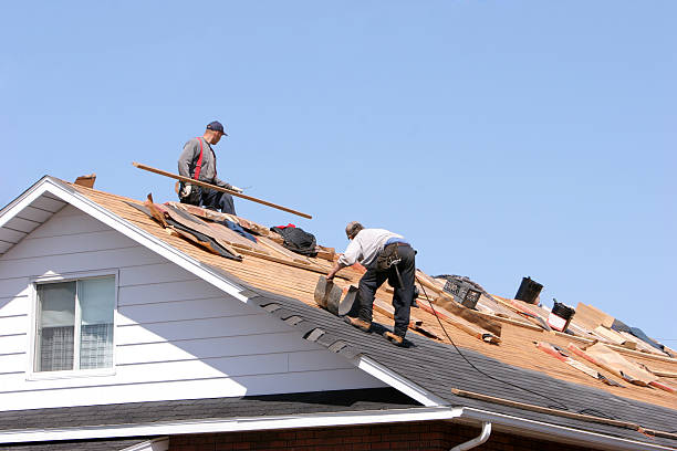Best Sheet Metal Roofing  in Webster, FL