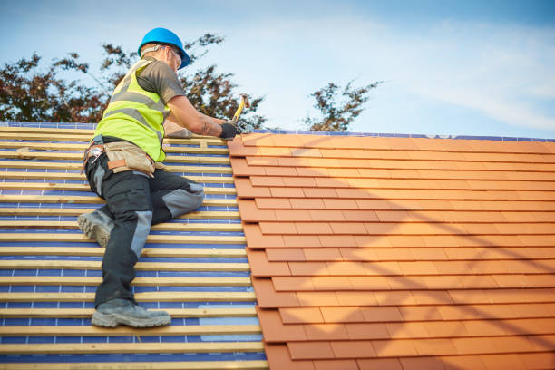 Best Roof Coating and Sealing  in Webster, FL